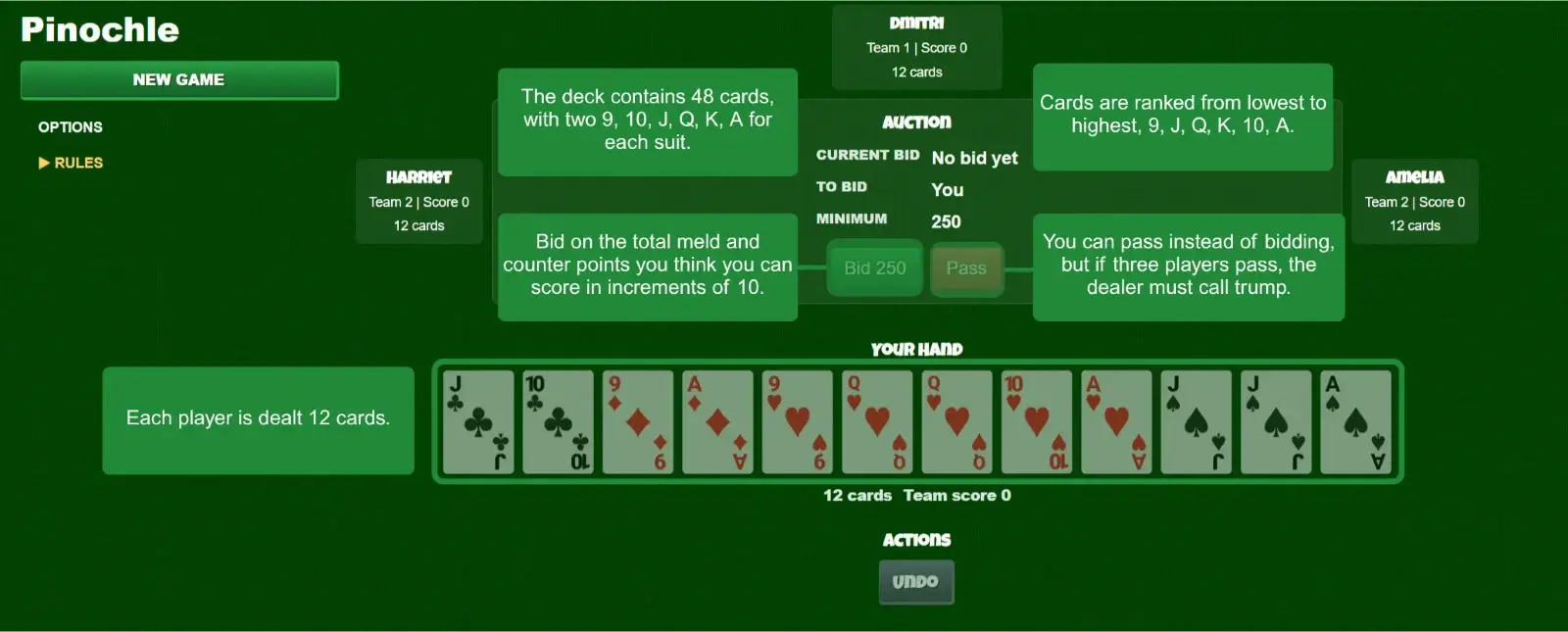 Pinochle card game setup